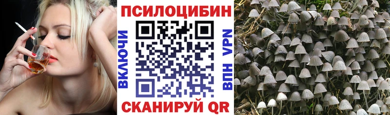 Галлюциногенные грибы Psilocybine cubensis  Купить закладки  Красновишерск 